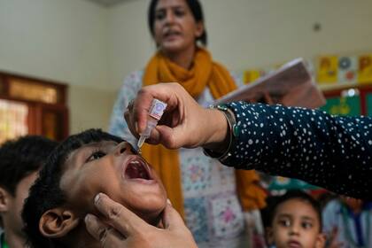 Ahora la vacuna contra la polio se da de forma oral, gracias a las contribuciones de Albert Sabin (AP Foto/Fareed Khan)