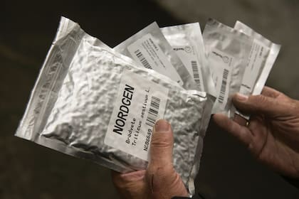 Ahora, las semillas se conservan en bolsitas de aluminio al vacío.