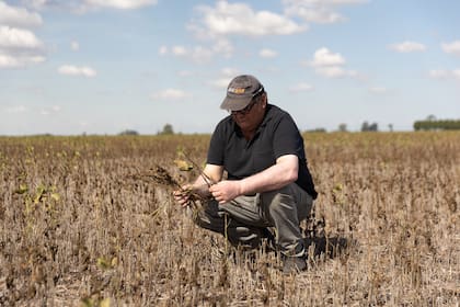 Ahora los productores enfrentan el riesgo de pérdida de calidad