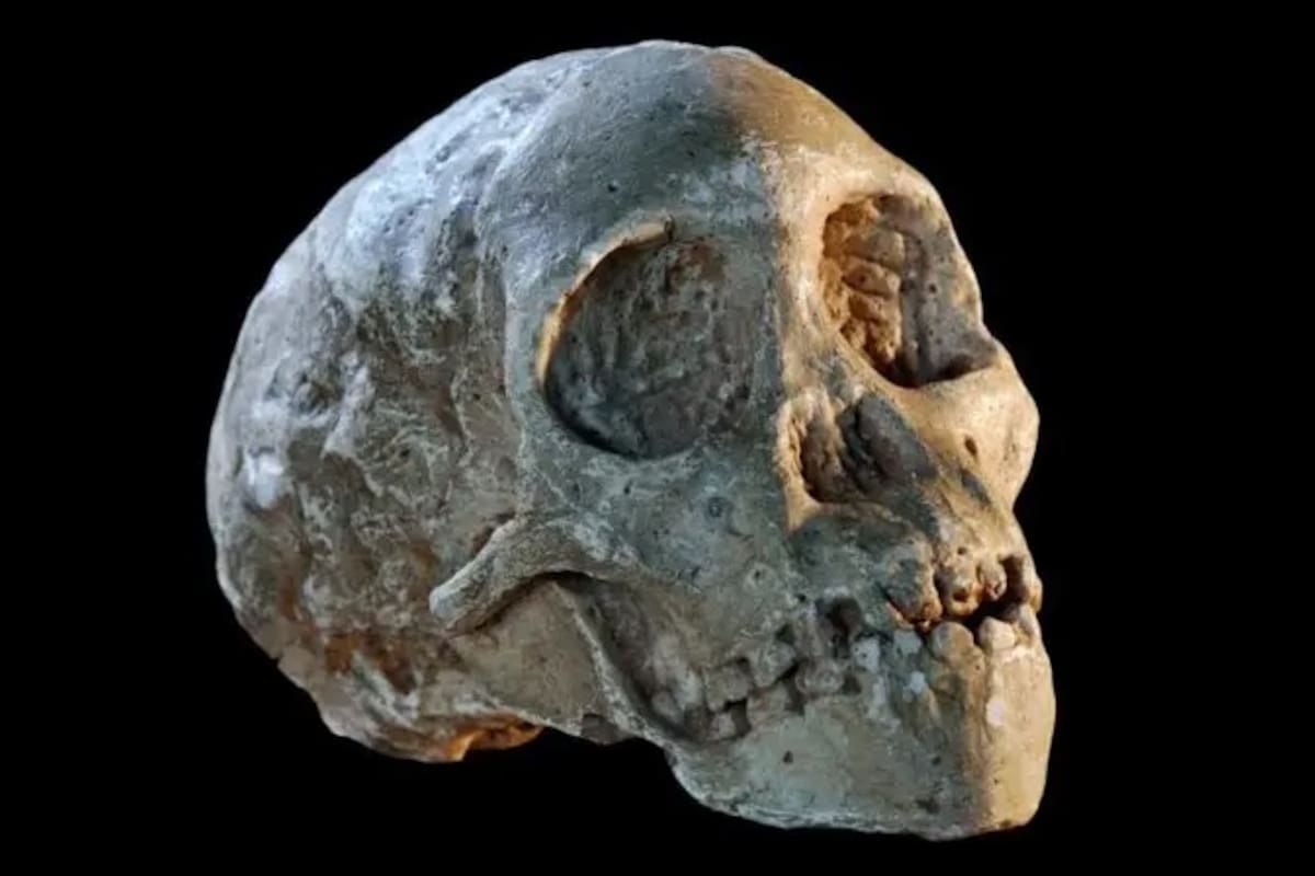 Ahora sabemos que tenía 3 o 4 años cuando murió atacado por un águila