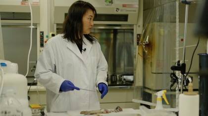Ai Kimura estudia muestras de radiación en el laboratorio Taráchine