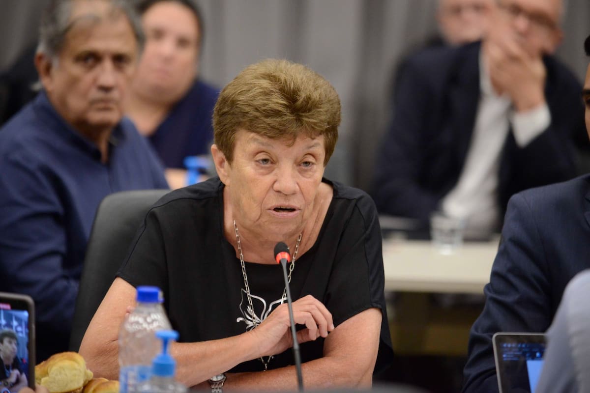 Aída Kemelmajer expuso en el plenario de comisiones de la Cámara de Diputados