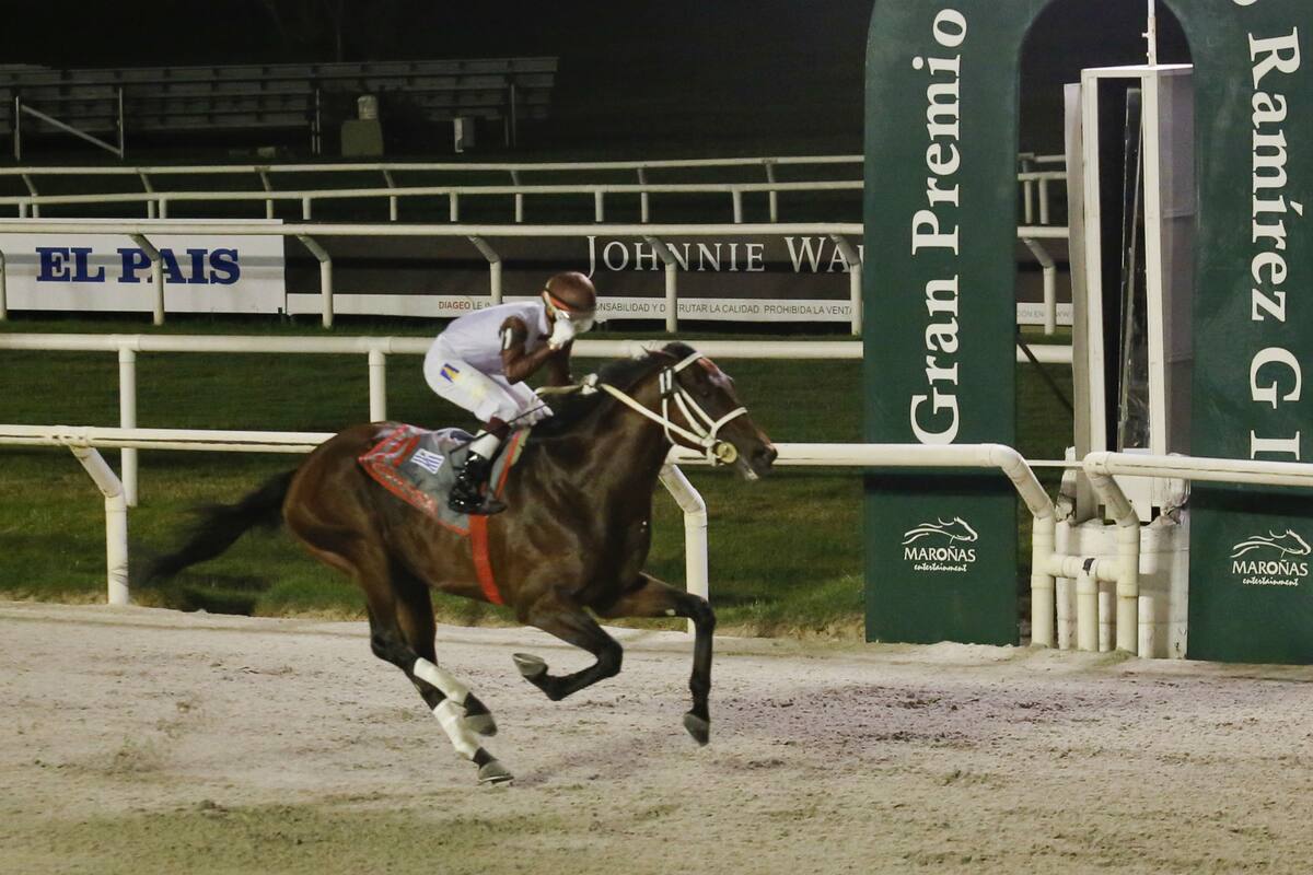 Ajuste Fiscal ganó el GP José Pedro Ramírez por siete cuerpos, en Uruguay