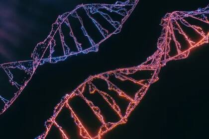 Al ADN no le alcanza con dos valores; desde nuestra propia concepción necesitamos más que blanco y negro, bueno y malo, amigo o enemigo