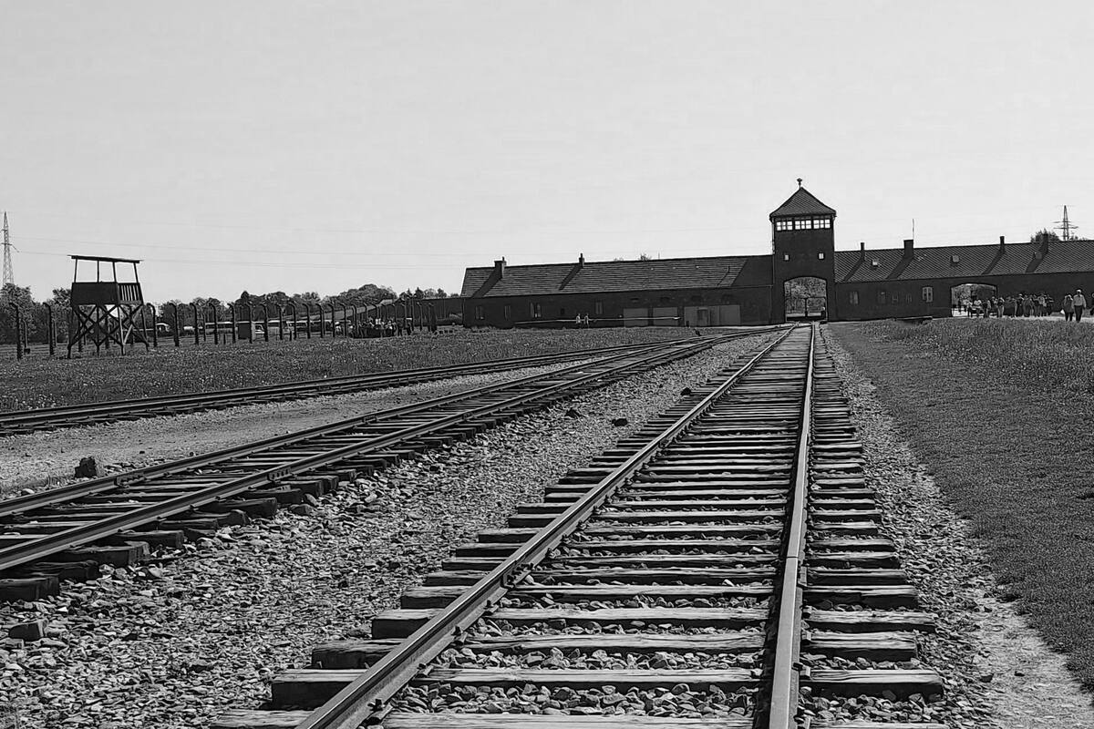 Al bajar del tren, los miembros de las SS ordenaban las filas. Mujeres y niños por un lado; hombres por otro. Un oficial, a veces un médico, decidía su suerte