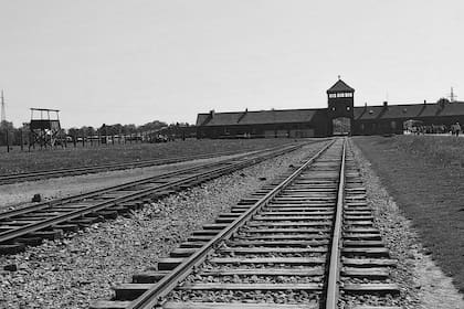 Al bajar del tren, los miembros de las SS ordenaban las filas. Mujeres y niños por un lado; hombres por otro. Un oficial, a veces un médico, decidía su suerte