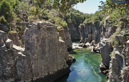 Al cajón del Río Pico se llega con coordenadas precisas y luego de atravesar varios campos: es un rincón intocado de los que casi no quedan