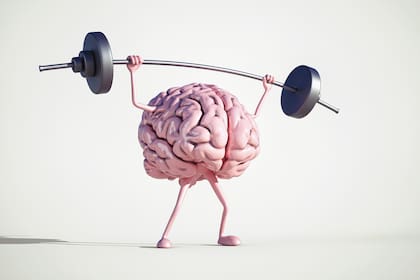"Al cerebro se lo mantiene joven a través de estímulos, actividades y cuidados específicos que se pueden aplicar a lo largo de toda la vida", Alejandro Andersson, médico neurólogo y director del Instituto de Neurología de Buenos Aires