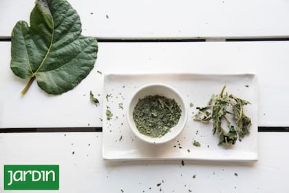 Al cocinarlas, liberan un perfume que transforma cualquier preparación sencilla en una experiencia sensorial