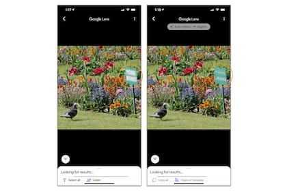 Al detectar texto en una foto, Google Lens puede copiar o traducir las palabras