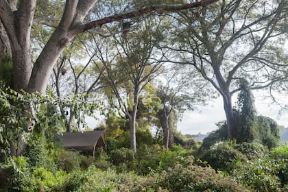 Al estar relativamente cerca el glamping del camping, el entorno es similar. Hay senderos abiertos para hacer trekking y avistaje de flora y fauna.