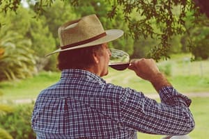 Al Este Bodega y Viñedos es un productor de vinos de alta gama ubicada en Médanos, provincia de Buenos Aires