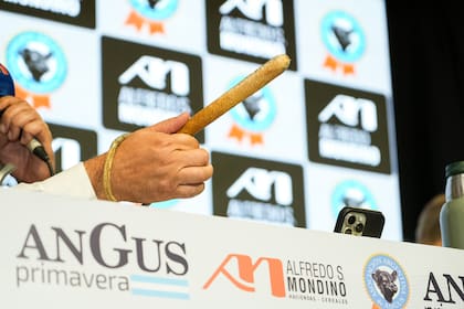 Al finalizar el remate, Roberto Mondino sintetizó: “Fue un rematazo. Había hacienda del sur de Entre Ríos, sur de Santa Fe, Córdoba, La Pampa, San Luis y Mendoza. Mucha hacienda se fue a recría y eso es bueno. Más trabada la vaca parición otoño”