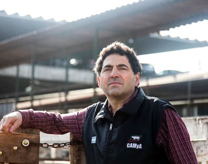 "Al Gobierno le vendieron un buzón porque esto va a generar mayores costos, desabastecimiento en el consumo y quebrantos a productores y feedloteros que no van a tener a quién vender sus novillos terminados”, dijo Sergio Pedace