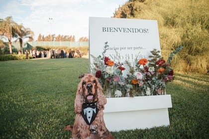 Al ingreso de la boda, una gigantrografía del perro de la pareja daba la bienvenida