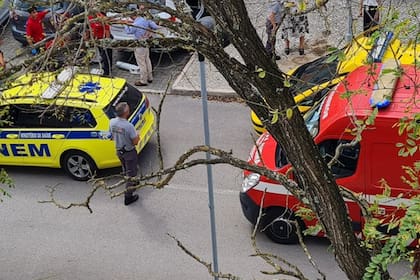 Al lugar se desplazó una patrulla de Emergencias junto a un vehículo de Reanimación (VMER) del Hospital García de Orta, quienes constataron el fallecimiento de la beba