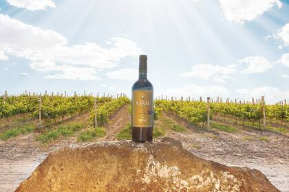 Al mando de Eurnekian Family Wine Estates, Juliana disfruta de dirigir esta unidad de negocio, porque además del gran desarrollo y del éxito comercial que ha logrado, sabe que toda la historia familiar está presente cada vez que se descorcha y se comparte una botella de vino