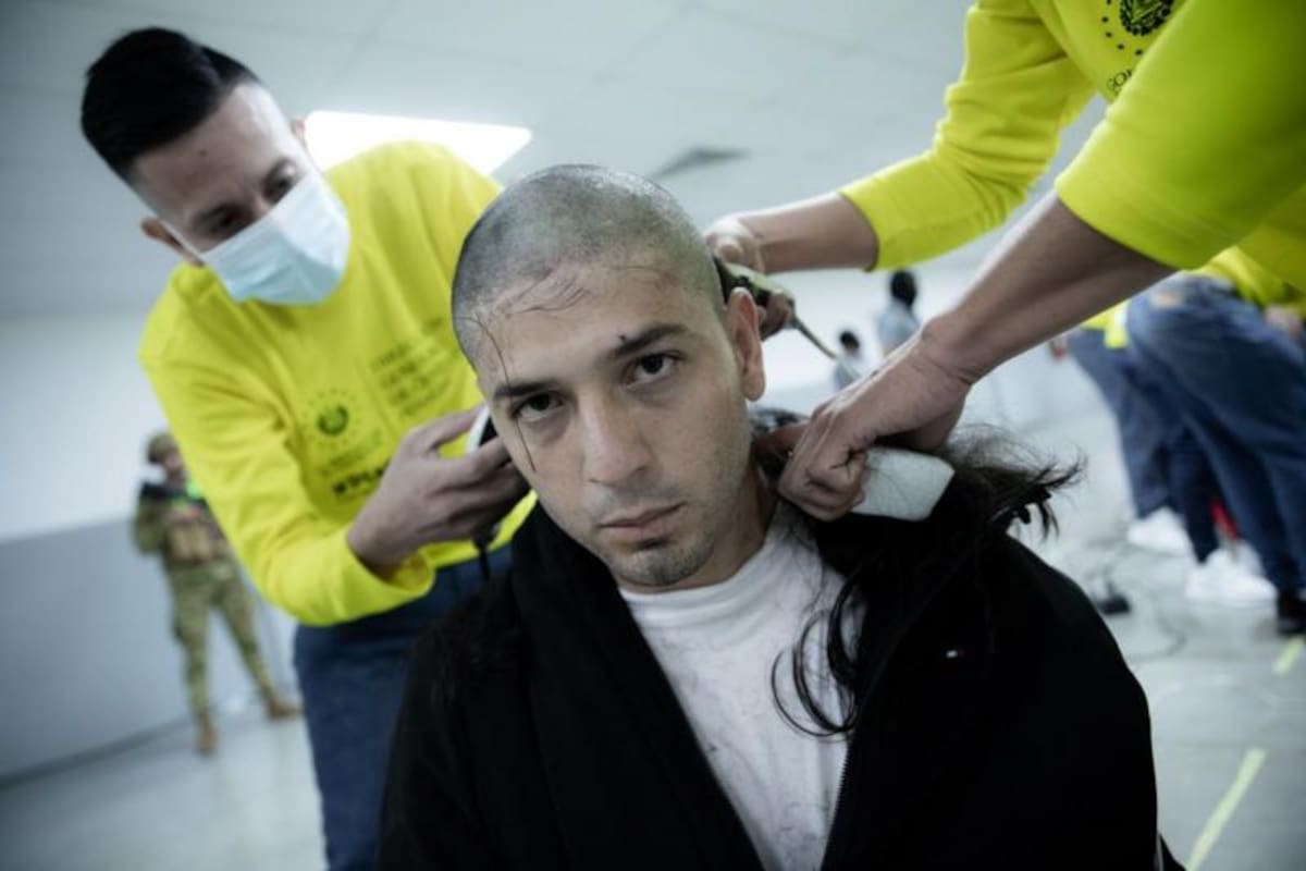 Al menos 200 venezolanos fueron deportados desde EE.UU. hacia El Salvador para ser recluidos en el Centro de Confinamiento del Terrorismo, Cecot.