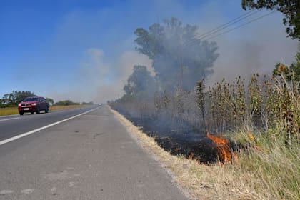 Al menos cinco focos activos de incendios avanzaban esta mañana sobre pastizales en las localidades de Canning y Tristán Suárez, en el partido bonaerense de Ezeiza
