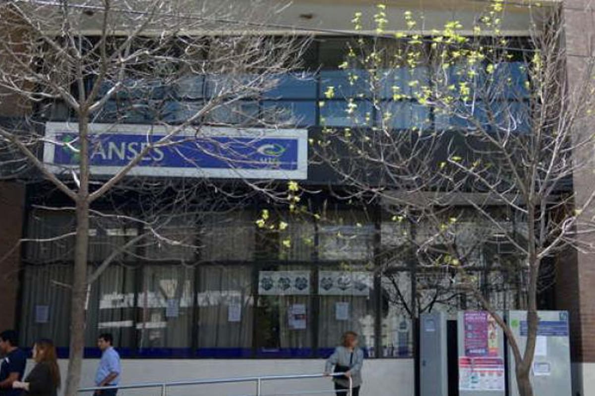 Al menos más de cien casos son los que la delegación local de Anses detectó