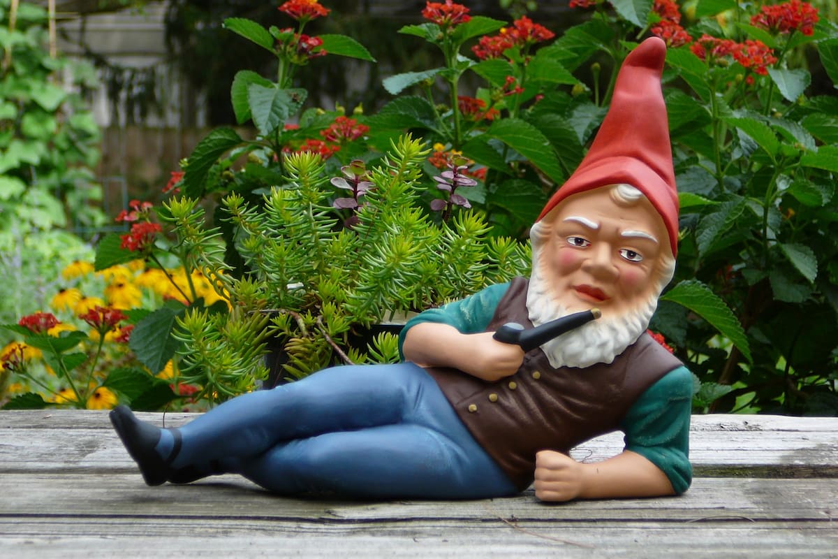 Al menos seis enanos de jardín habrían desaparecido en el último mes