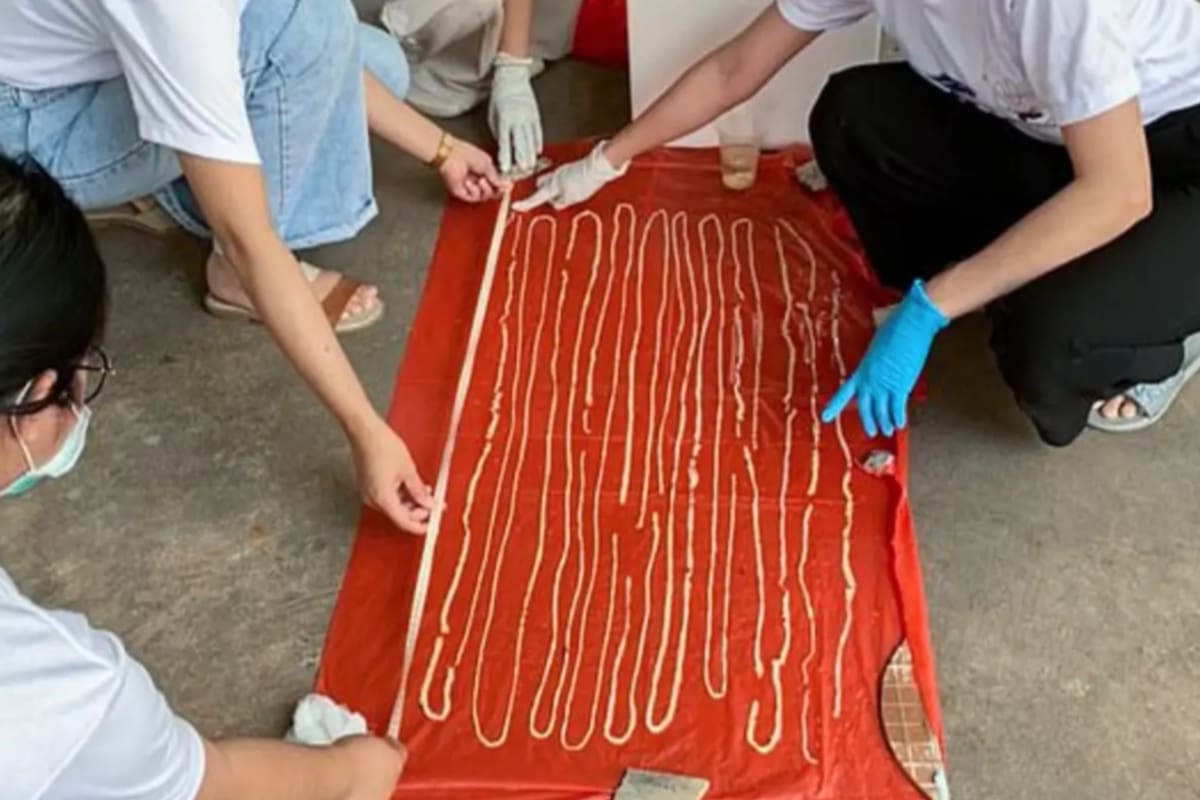 Al momento de medir el parásito, los médicos constataron que tenía unos 18 metros de largo (Viral Press)