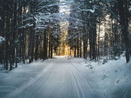 Al nacer en invierno, puede que tu carácter sea más introspectivo y sensible