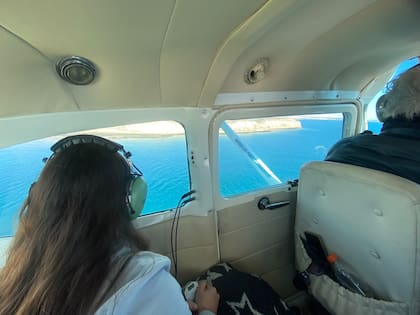 Al observar desde el avión, los científicos utilizan un clinómetro para calcular la distancia exacta entre ellos y los cetáceos