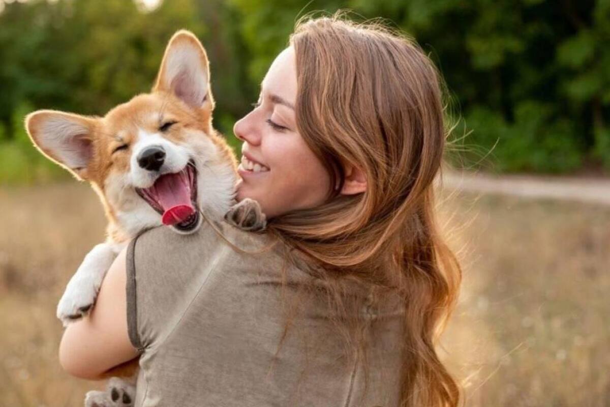 Al parecer, la prosodia es un factor que capta especialmente la atención del animal (Foto: iStock)