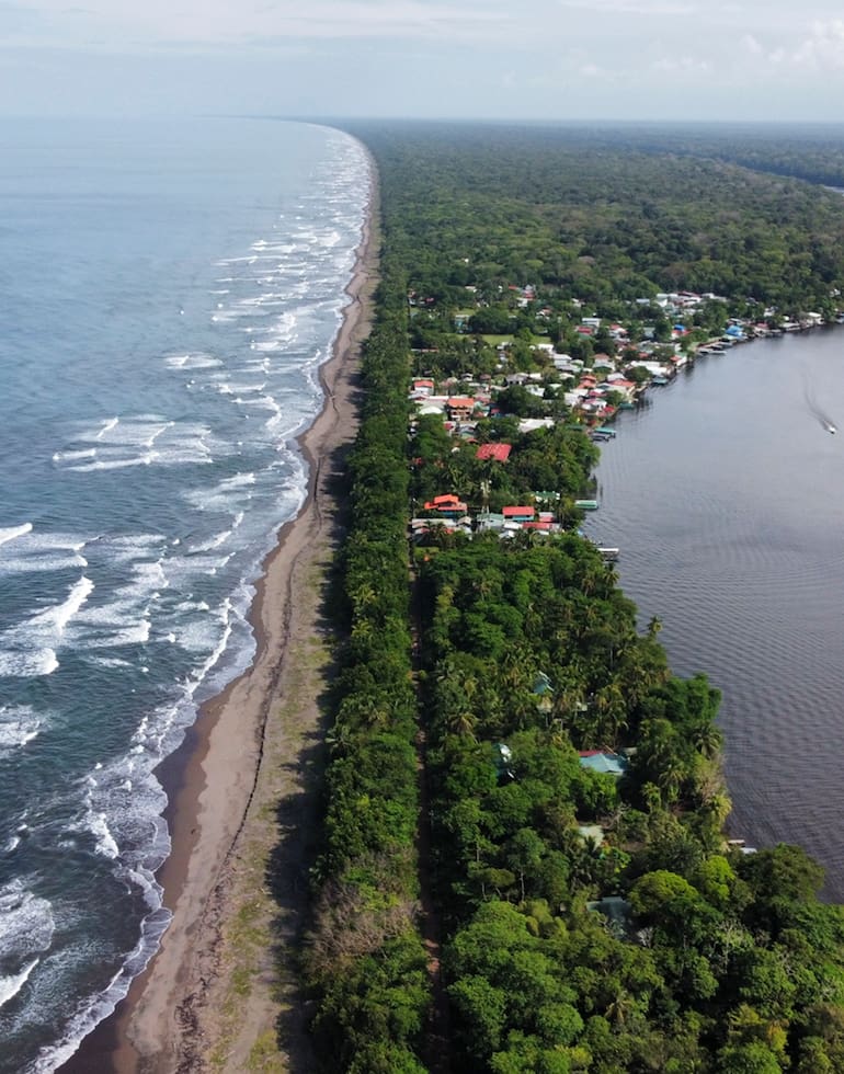 Al Parque Nacional Tortuguero, de difícil acceso, se llega en busca de una conexión profunda con el reino animal