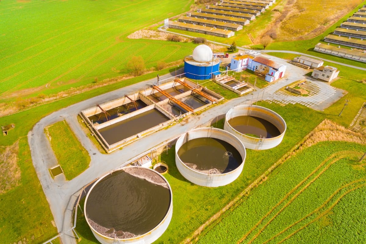 Al pasar de la economía del petróleo a la de biomasa, el campo se transforma en proveedor de las industrias químicas, plásticas y automotriz, entre otras