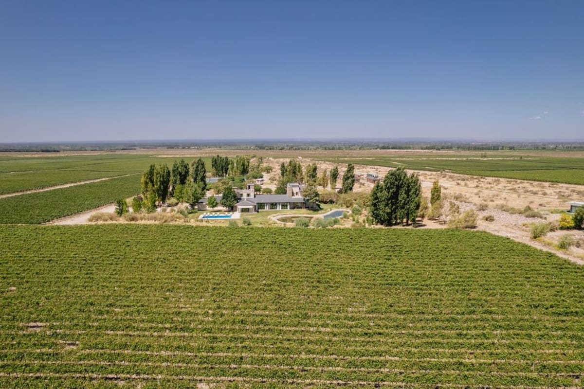 Al pie de los Andes: La Morada, un pequeño hotel rodeado de viñedos