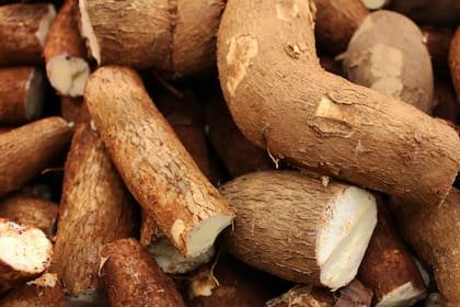 Al preparar la mandioca, es crucial hacerlo correctamente para eliminar compuestos naturales llamados cianogénicos