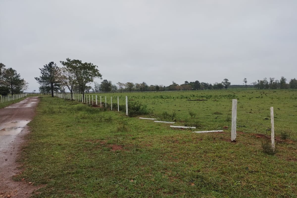 Al productor Ángel Subizar la semana pasada le rompieron un alambrado