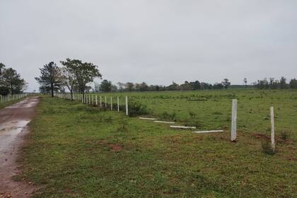 Al productor Ángel Subizar la semana pasada le rompieron un alambrado