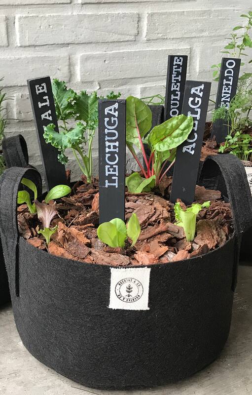 Al propagar tus propias plantas, la ausencia de fungicidas y otros agrotóxicos está garantizada