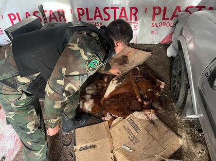 Al regresar al pueblo, rápidamente despostaban los animales en un galpón trasero de la casa y lo vendían entero o media res, incluso en algunas ocasiones conservando el pelo y cuero: “se estima que primero prevendían los animales con adelanto de dinero por cuenta DNI”