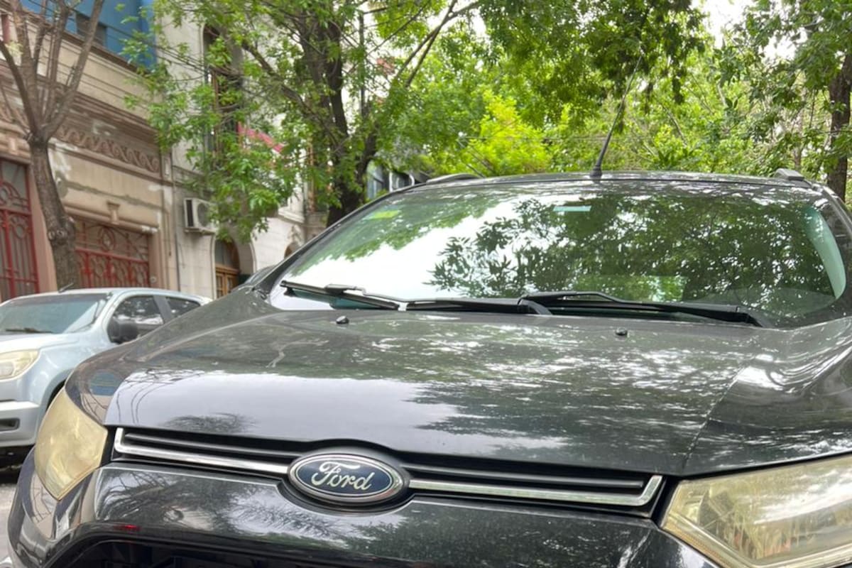 Al robarle la parrilla delantera también se llevaron su chapa patente