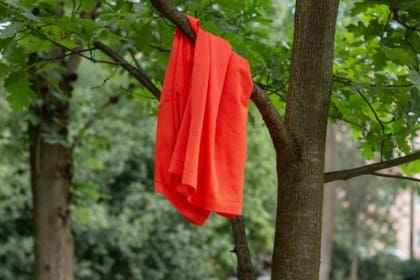 Al saber quién era el dueño de la camiseta colgada, fueron descubriendo dónde estaba cada quien