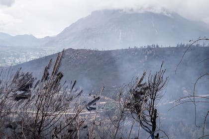 Al saldo de las casas incendiadas se suman otras pérdidas materiales de importancia como galpones, talleres, cultivos almacenados, campos y animales
