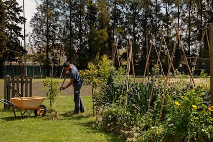 Al tratarse de una huerta libre de agroquímicos, el trabajo cultural de la huerta es diario y demanda más presencia que en una huerta convencional.