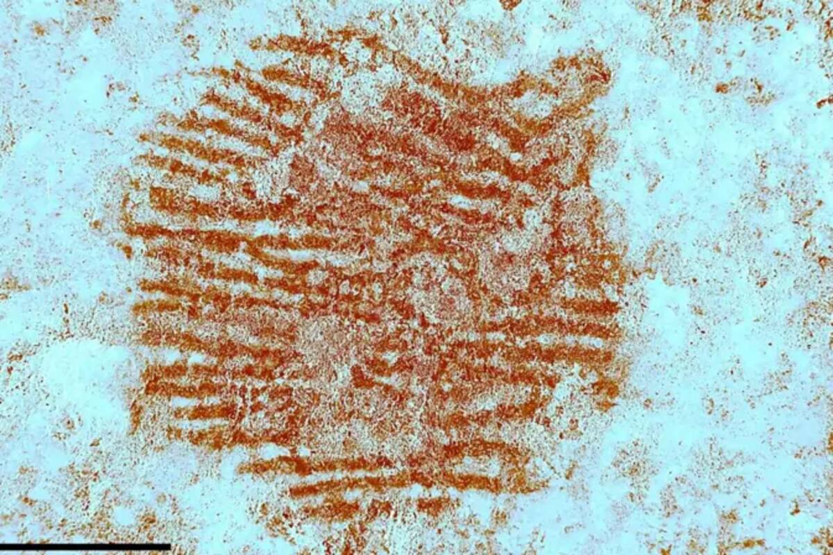 Al usarse herramientas especializadas de espectografía