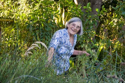 Al visitar el jardín de un paisajista en Francia se inspiró con la idea de no dejar espacio vacío y querer tener "todas las plantas que existen"