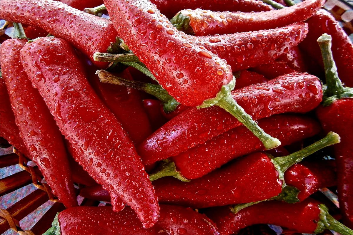 Alabado por sus supuestas virtudes terapéuticas, una investigación italiana demuestra que algunas de ellas eran ciertas.