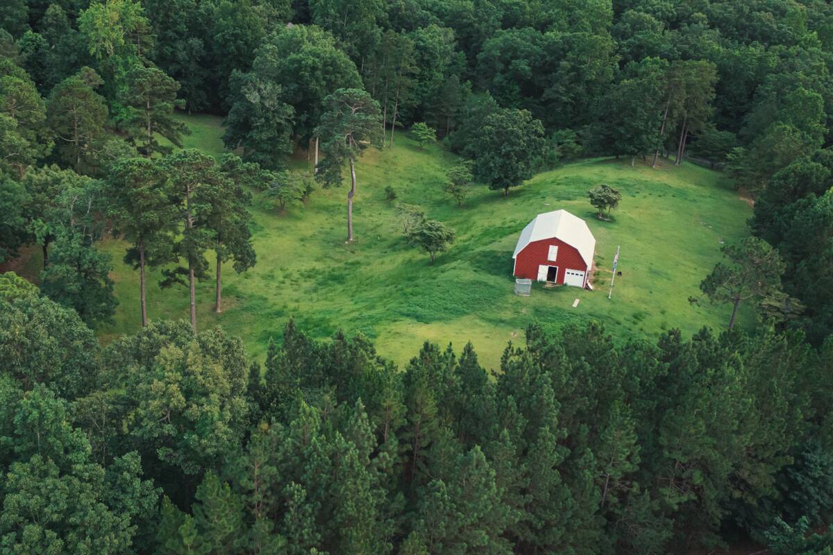 Alabama, uno de los mejores estados para comenzar una vida alejado de la red