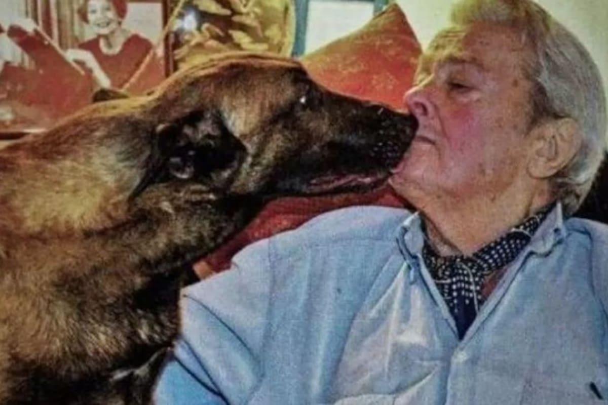 Alain Delon y Loubo, el perro que lo acompañó hasta el final