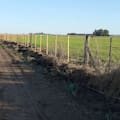 Introducido por un escocés y discutido en sus comienzos, el alambrado marcó un antes y un después en el campo argentino
