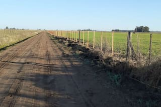 Introducido por un escocés y discutido en sus comienzos, el alambrado marcó un antes y un después en el campo argentino