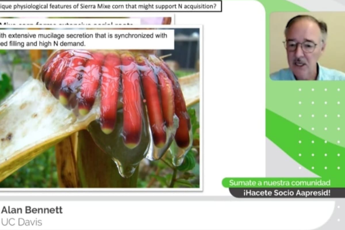 Alan Bennett, docente e investigador de la Universidad de California, en Estados Unidos, disertó sobre la importancia del nitrógeno (N) como nutriente esencial para las plantas