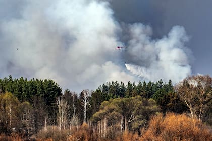 Alarma radioactiva en Ucrania: bomberos luchan contra varios incendios en Chernobyl